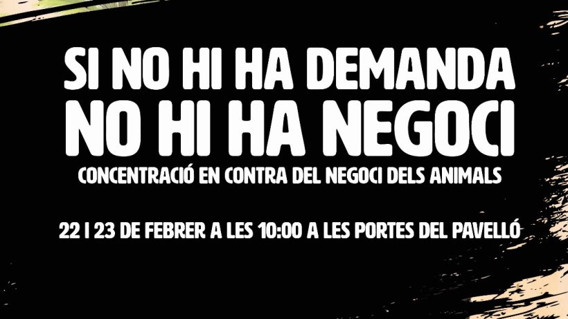 202502Feb07-Si No Hi Ha Demanda, No Hi Ha Negoci-Podemos